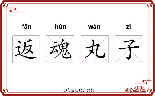 返魂丸子