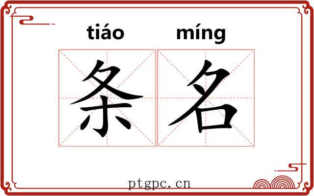 条名