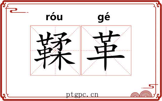鞣革