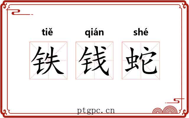 铁钱蛇