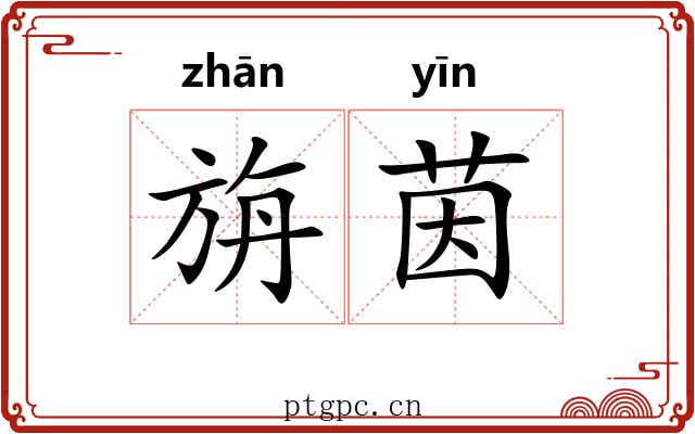 旃茵