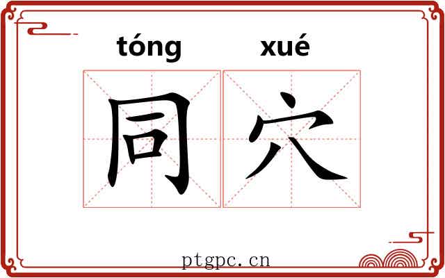 同穴
