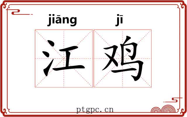 江鸡