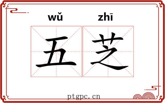 五芝 五芝