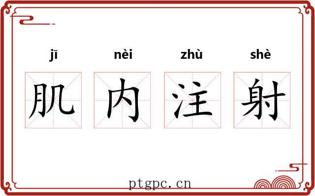 肌内注射 肌内注射