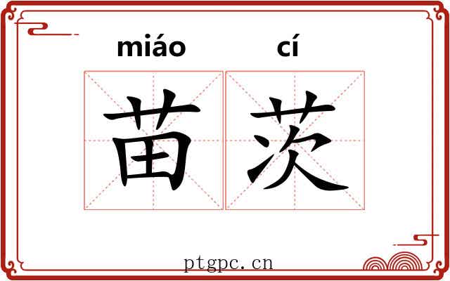 苗茨 苗茨