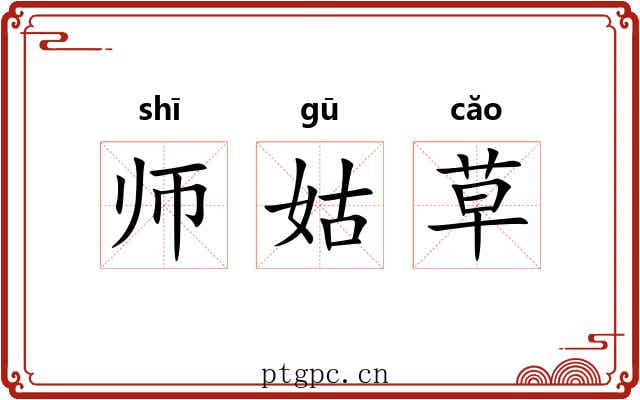 师姑草 师姑草