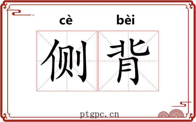 侧背 侧背