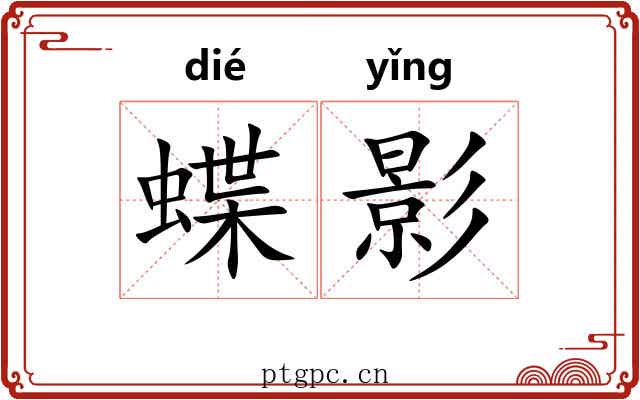 蝶影 蝶影