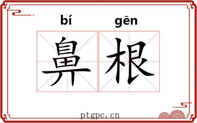 鼻根 鼻根