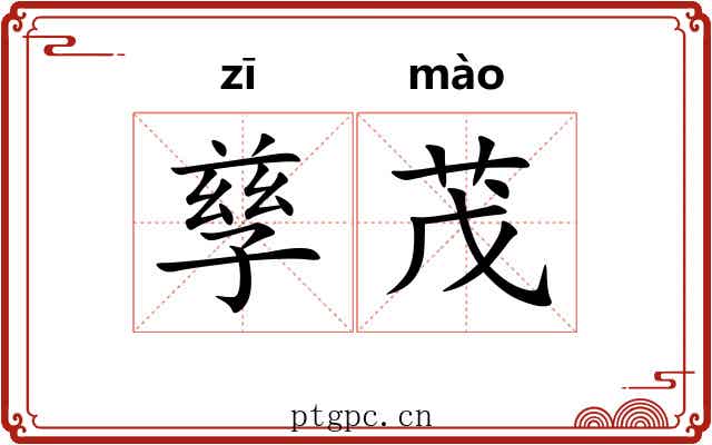 孳茂