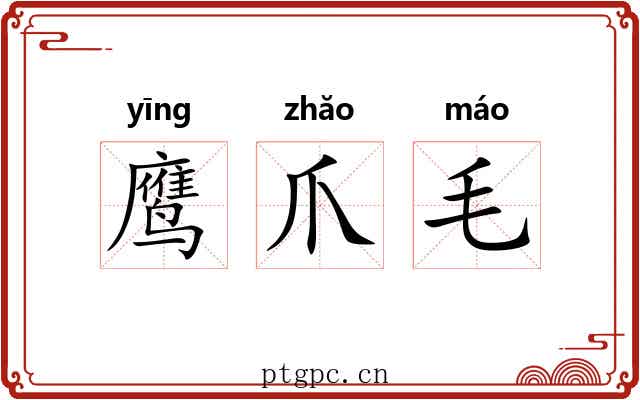鹰爪毛 鹰爪毛