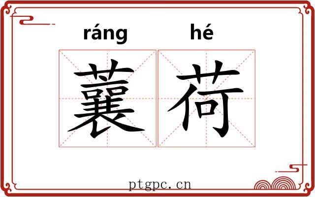 蘘荷 蘘荷