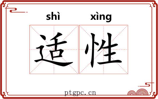 适性 适性
