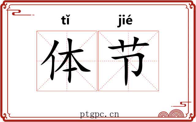 体节 体节