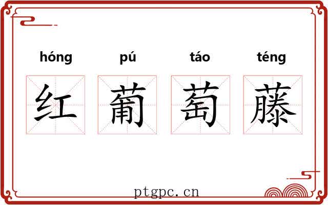 红葡萄藤 红葡萄藤