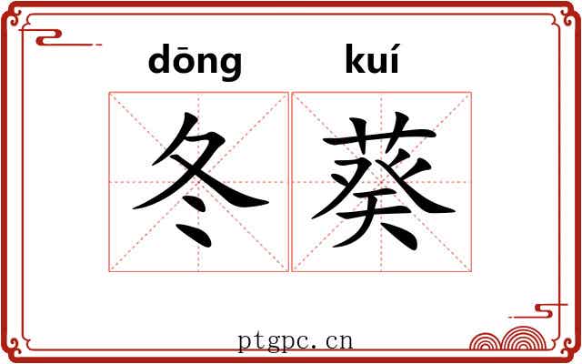冬葵