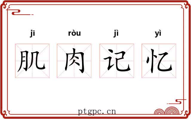 肌肉记忆 肌肉记忆