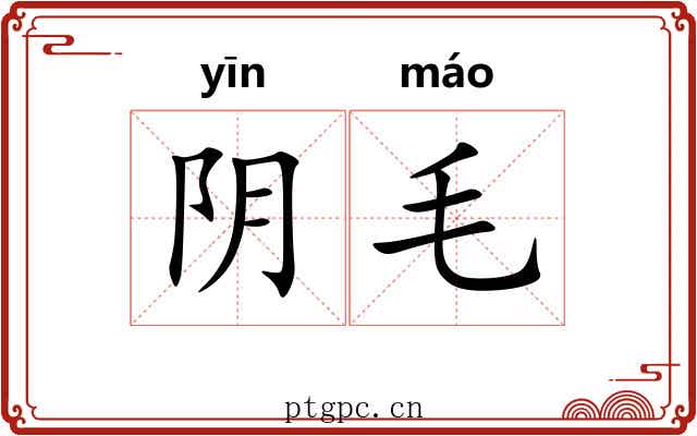 阴毛 阴毛