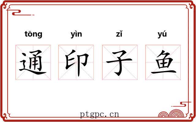 通印子鱼 通印子鱼