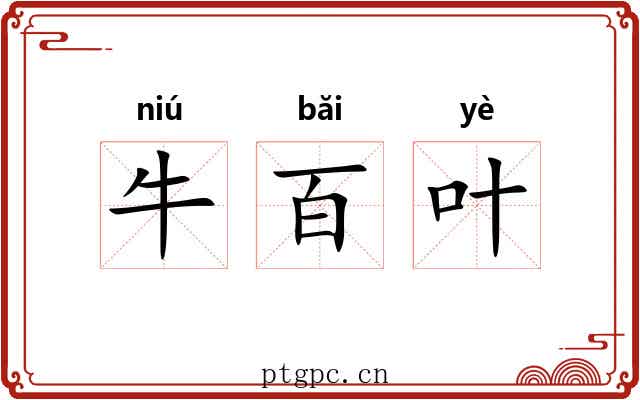 牛百叶 牛百叶