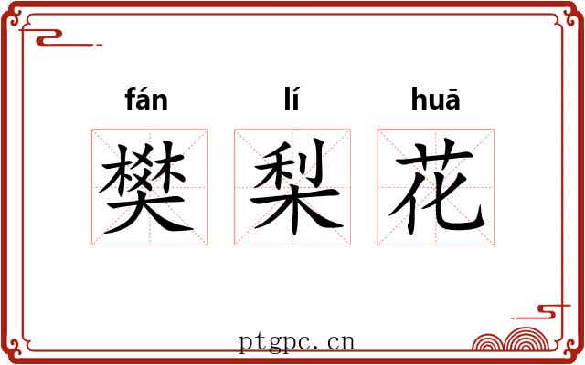 樊梨花 樊梨花