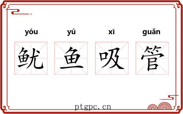 鱿鱼吸管