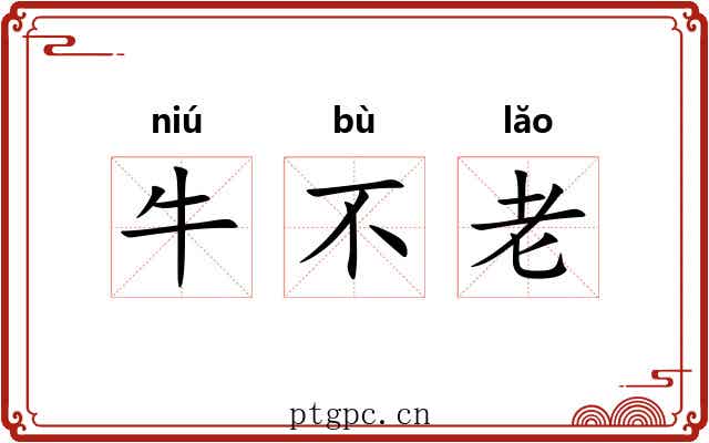 牛不老 牛不老