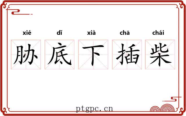 胁底下插柴