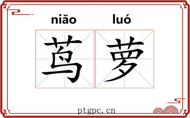 茑萝 茑萝