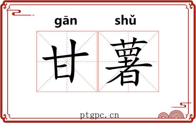 甘薯 甘薯