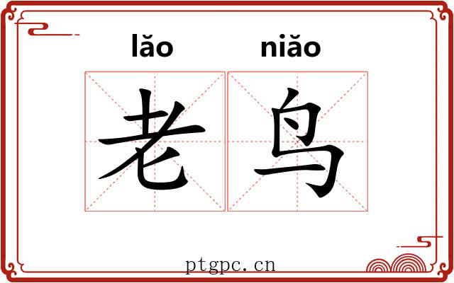 老鸟