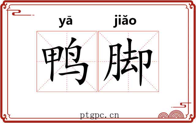 鸭脚 鸭脚