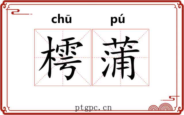 樗蒲 樗蒲