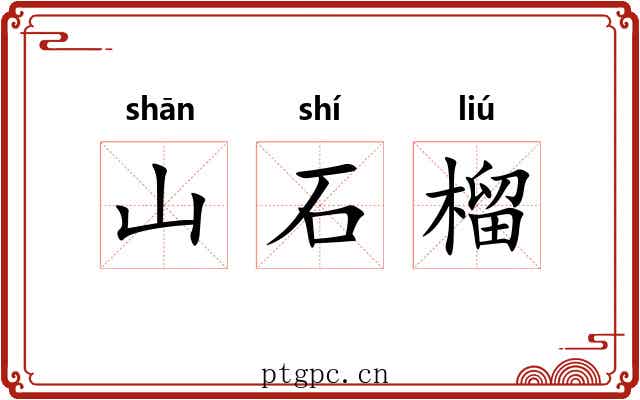 山石榴