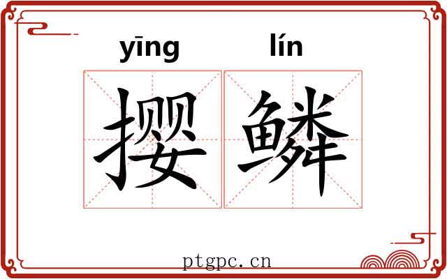 撄鳞