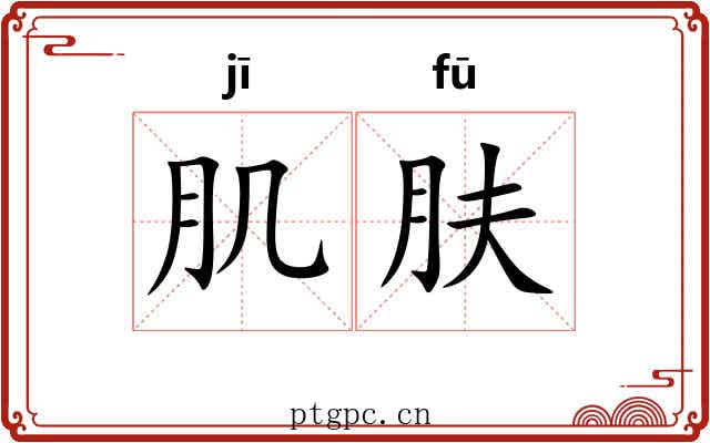 肌肤