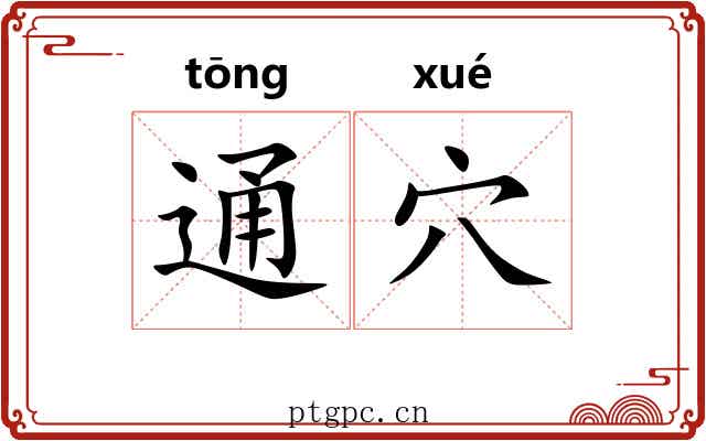通穴 通穴