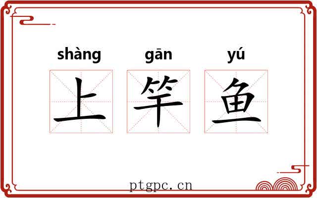 上竿鱼 上竿鱼