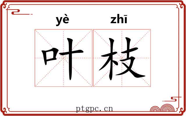 叶枝