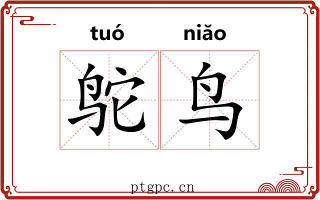 鸵鸟