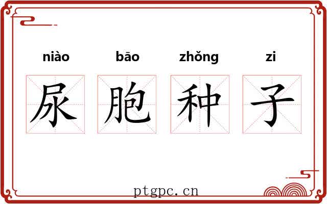 尿胞种子 尿胞种子