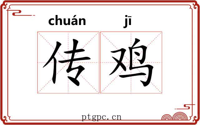 传鸡 传鸡