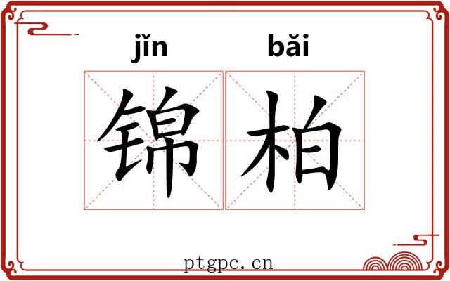 锦柏 锦柏
