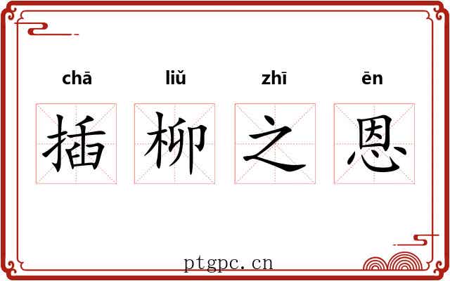 插柳之恩