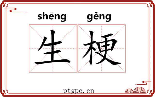 生梗 生梗