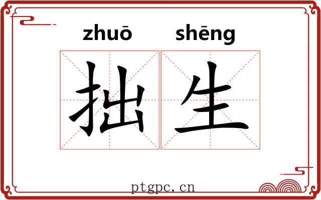 拙生 拙生