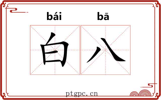 白八