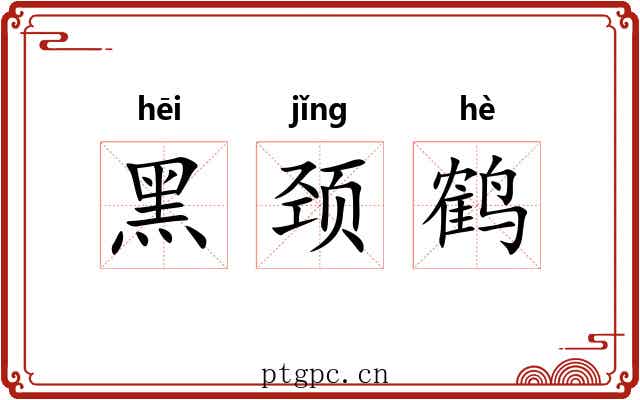 黑颈鹤 黑颈鹤