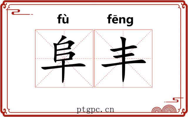 阜丰